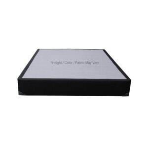 Queen Foundation